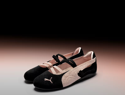 shoe