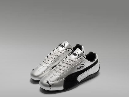 shoe